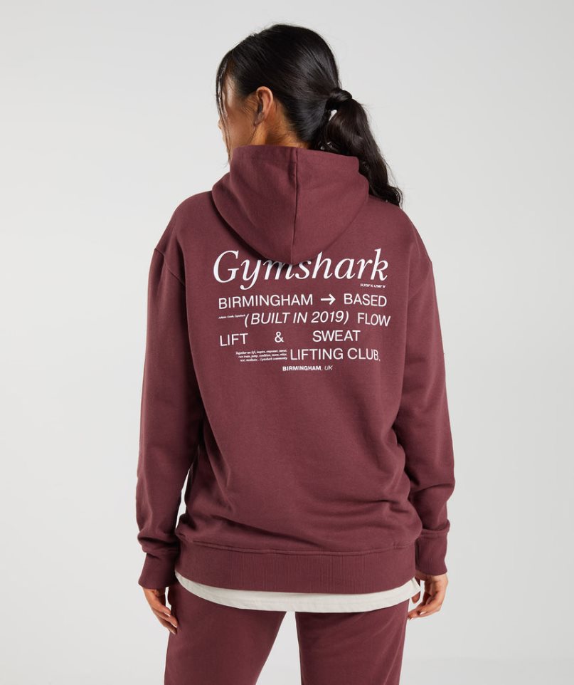 Bluzy Z Kapturem Gymshark Social Club Oversized Damskie Brązowe | PL 510SVA